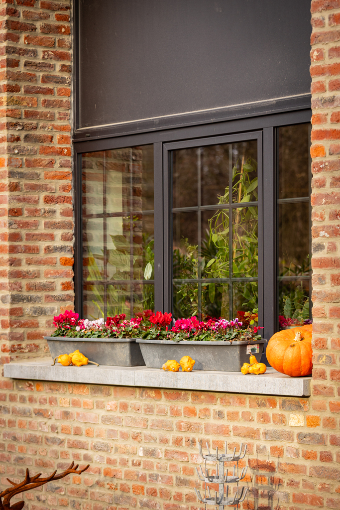 Tivolux projet Mons Saint-Symphorien PVC