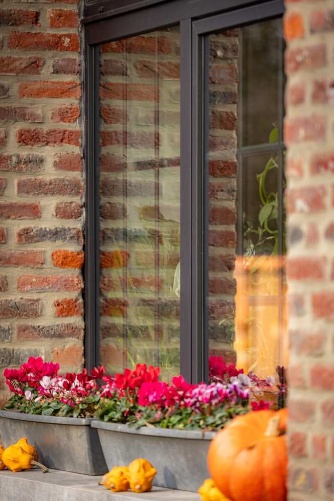 Tivolux projet Saint-Symphorien PVC Kommerling Horizon